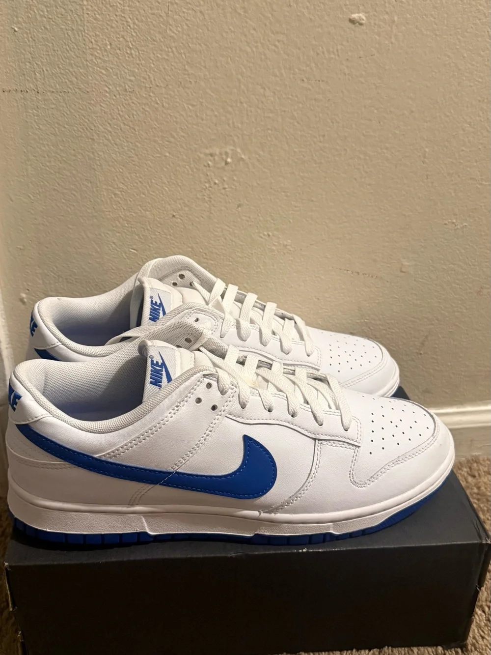 Nike White and Blue Low-Top Athletic Sneakers